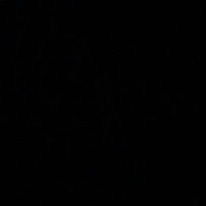 Meet your Posher, Calvin